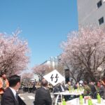 霞ヶ浦駐屯地さくらまつり