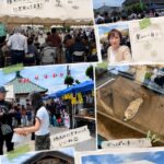 佐野子かっぱ祭り