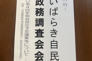 政務調査会